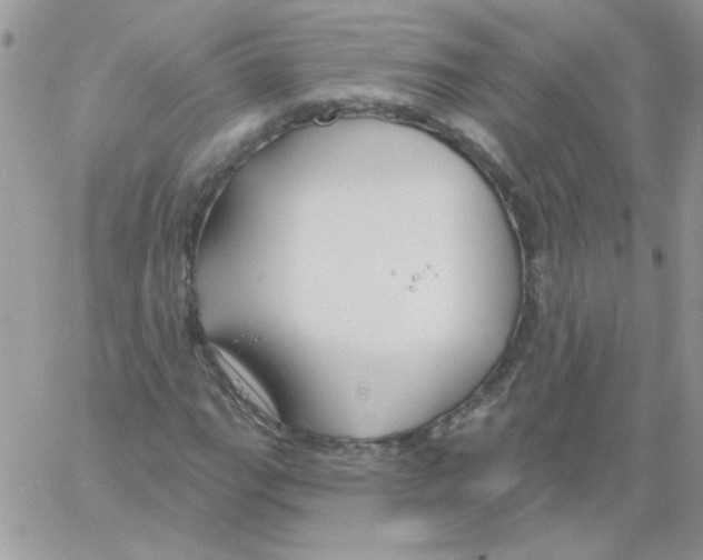 X0000061751111200512302230