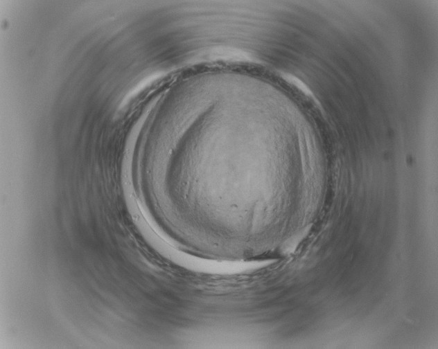 X0000061751112200512302230