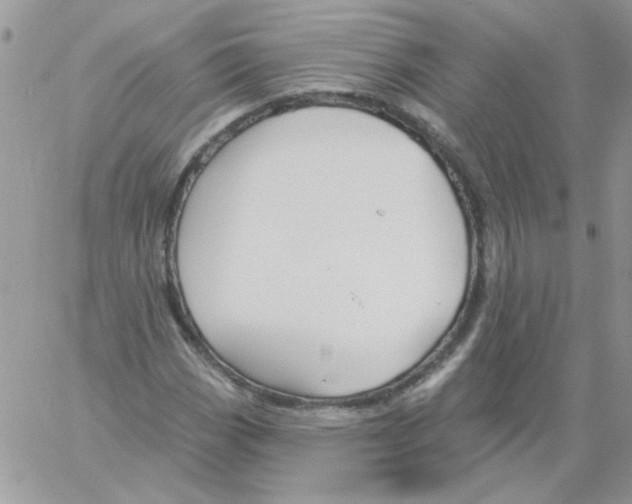 X0000061751113200512302230