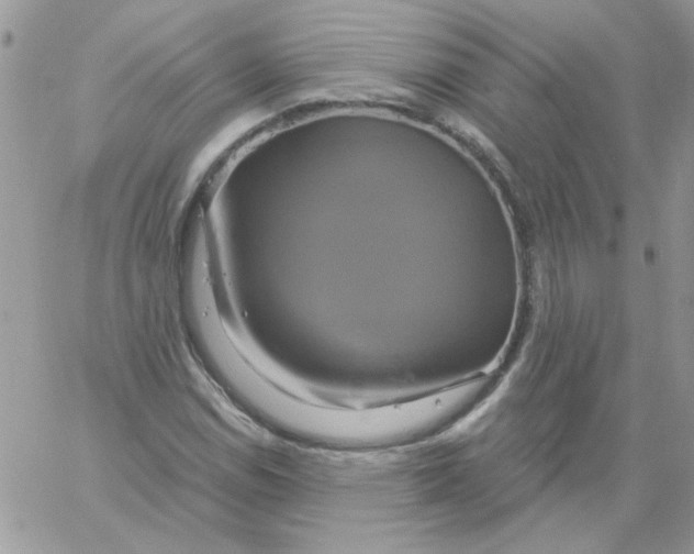 X0000061751114200512302230