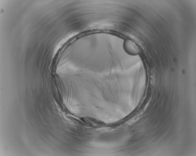 X0000061751117200512302230