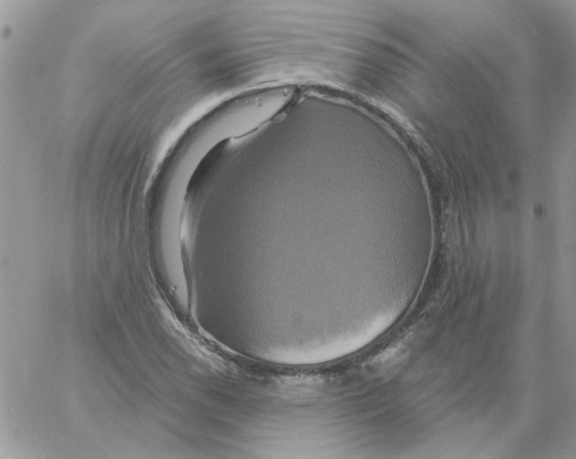 X0000061751118200512302230