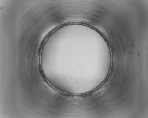 X0000061751119200512302230