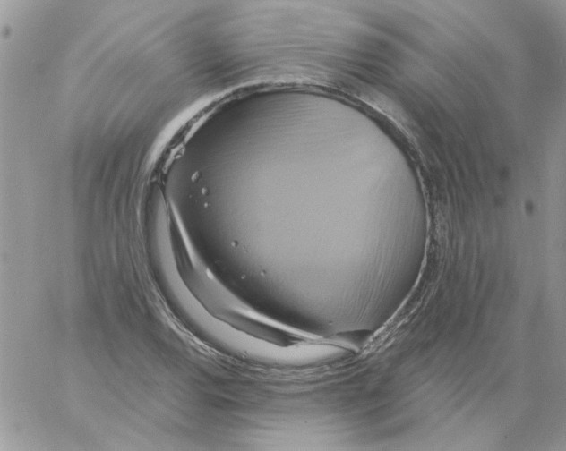 X0000061751120200512302230