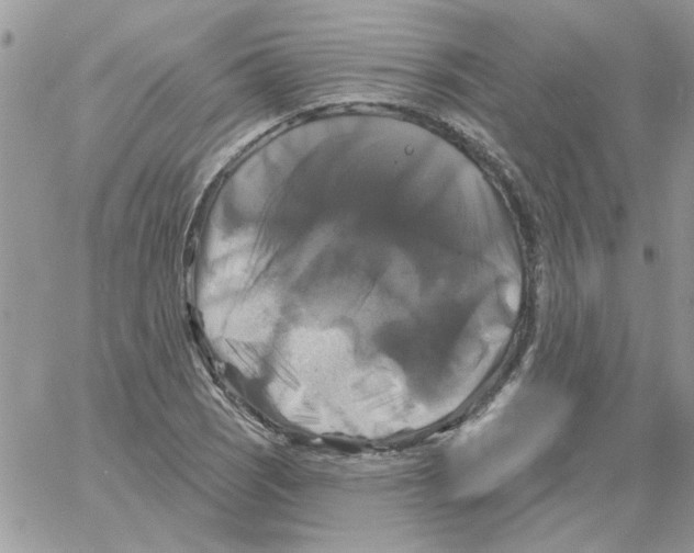 X0000061751121200512302230