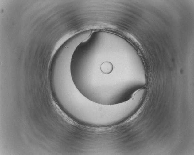 X0000061751122200512302230