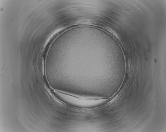 X0000061751123200512302230