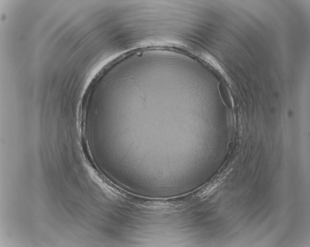 X0000061751124200512302230