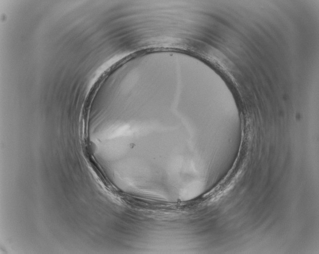 X0000061751125200512302230