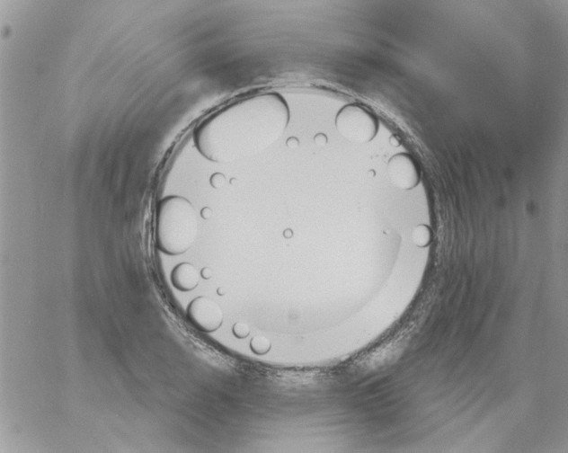 X0000061751126200512302230