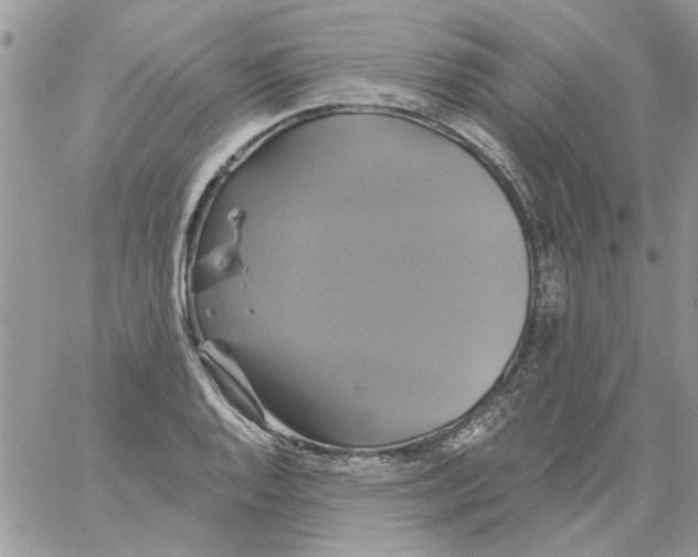 X0000061751128200512302230