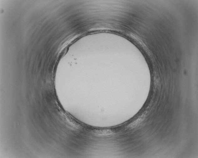 X0000061751129200512302230