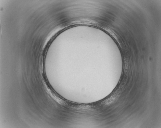 X0000061751131200512302231