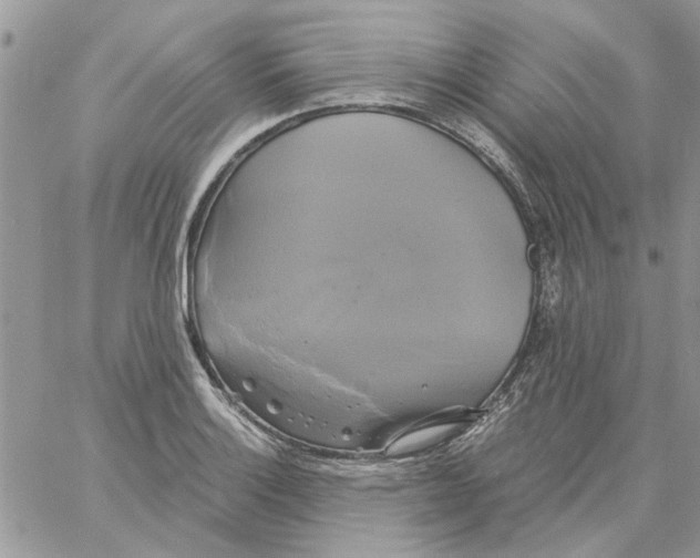 X0000061751132200512302231