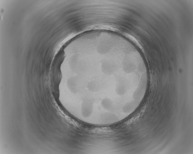 X0000061751133200512302231