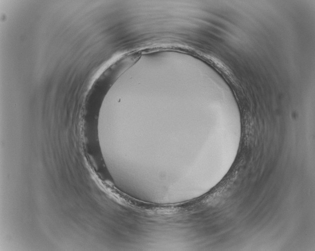 X0000061751134200512302231