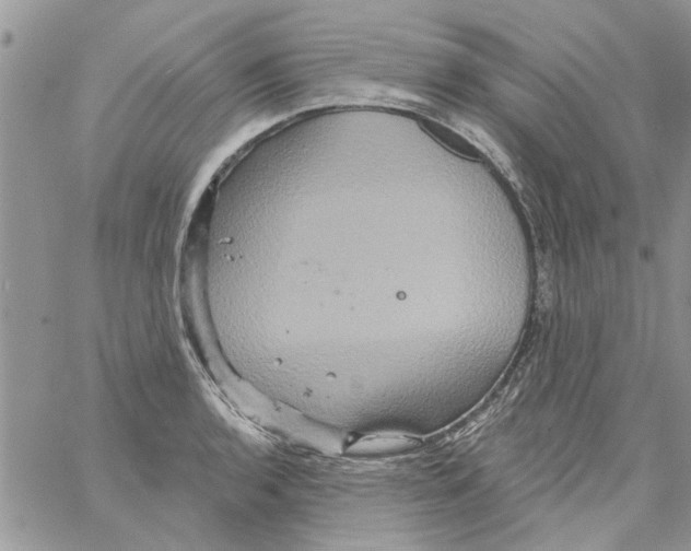 X0000061751136200512302231