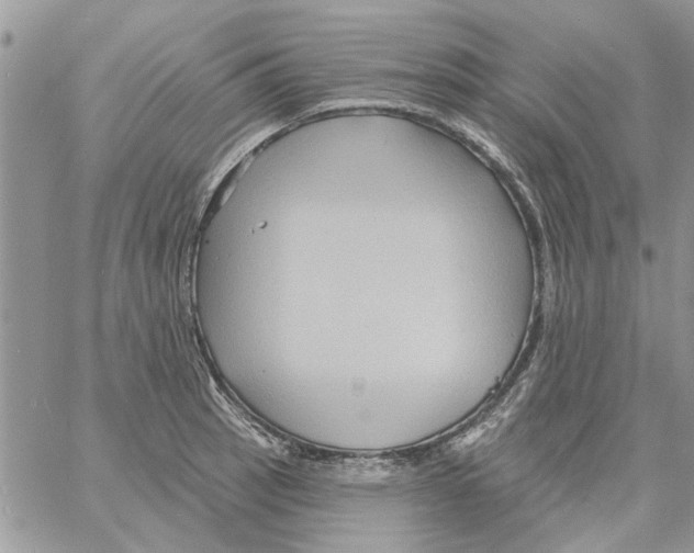 X0000061751137200512302231