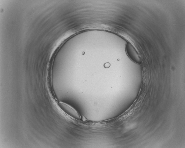 X0000061751139200512302231