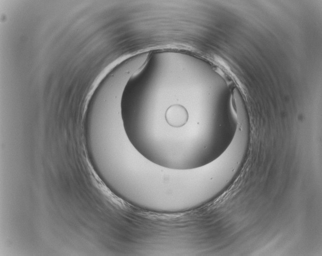 X0000061751140200512302231