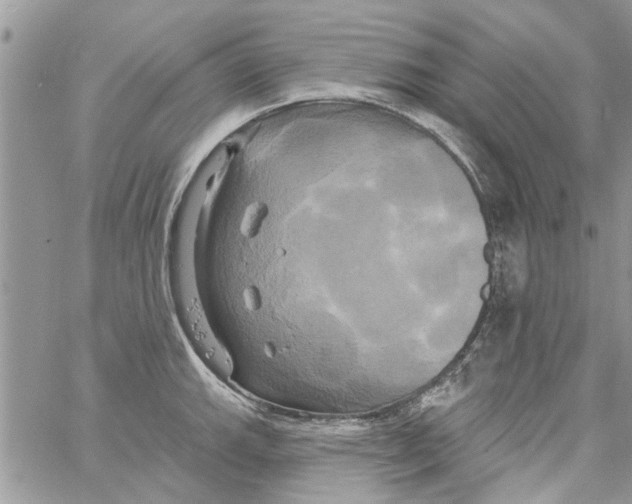 X0000061751143200512302231