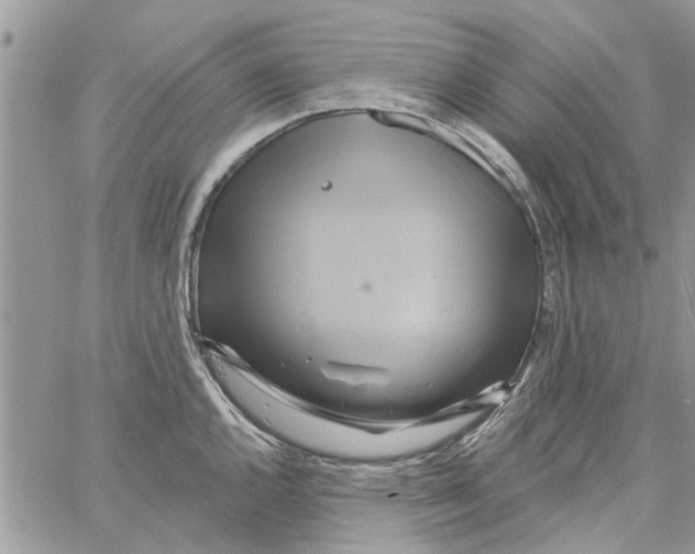 X0000061751144200512302231