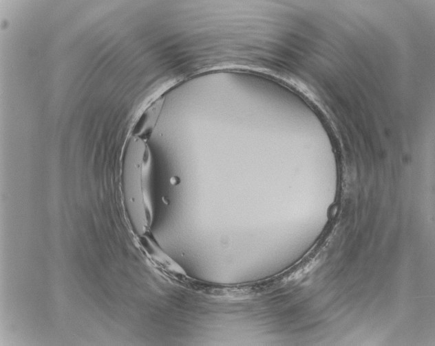 X0000061751145200512302231