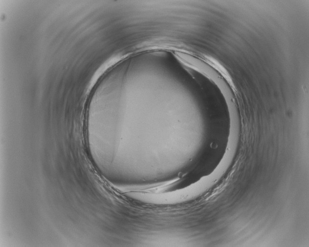 X0000061751146200512302231