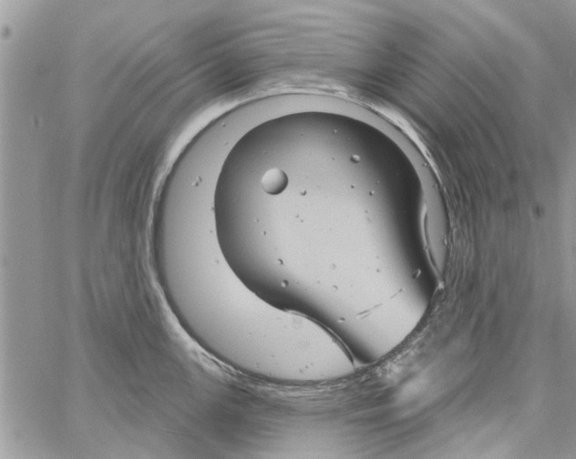 X0000061751147200512302231