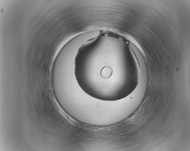 X0000061751148200512302231