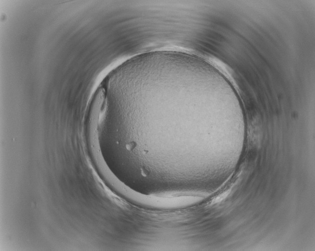 X0000061751149200512302231