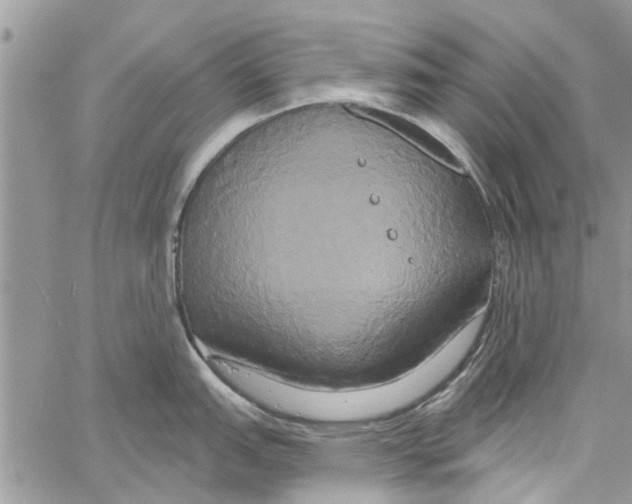 X0000061751151200512302231