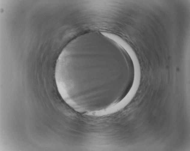 X0000061751153200512302230