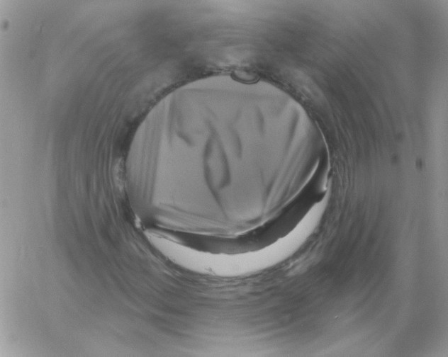 X0000061751156200512302230