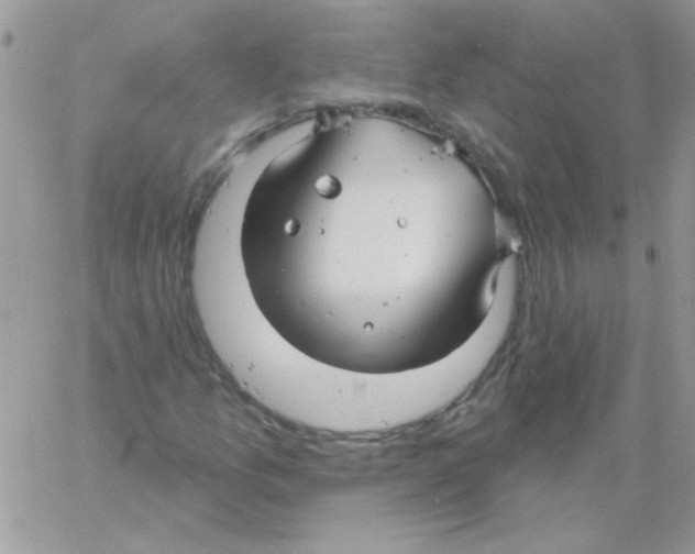 X0000061751157200512302230