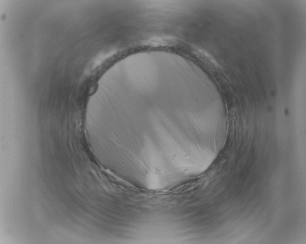 X0000061751158200512302230