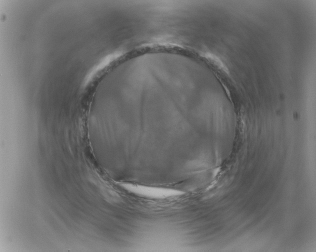 X0000061751159200512302230