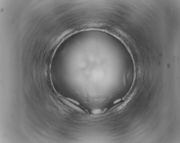 X0000061751161200512302230