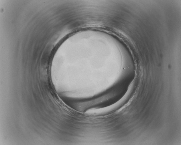 X0000061751162200512302230