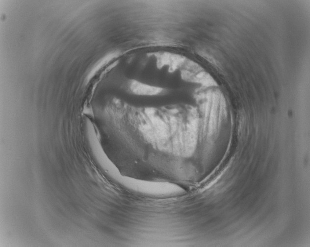 X0000061751163200512302230