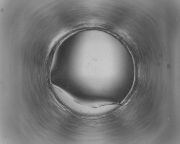 X0000061751164200512302230