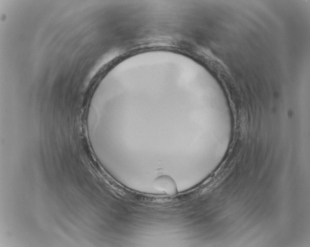 X0000061751166200512302230