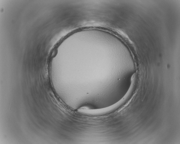 X0000061751167200512302230