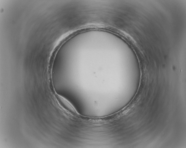 X0000061751168200512302230