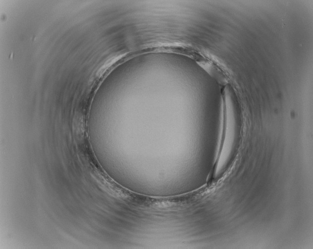 X0000061751169200512302230