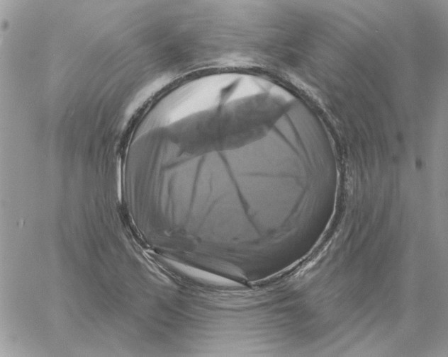 X0000061751171200512302230