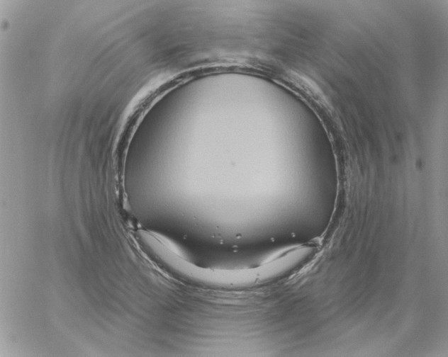 X0000061751172200512302230