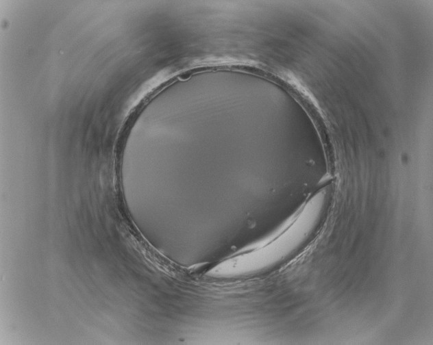 X0000061751173200512302230