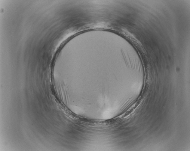 X0000061751174200512302230