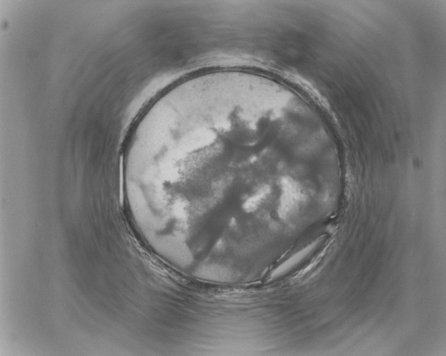 X0000061751175200512302230